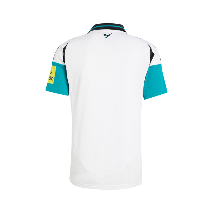 2024-25 Newcastle United FC Ausweich