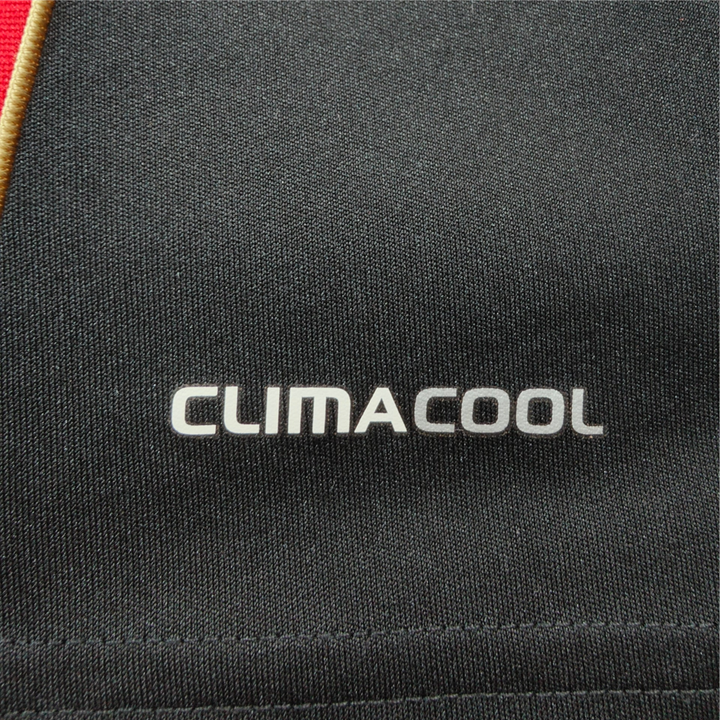 2010-11 AC Milan Thuis
