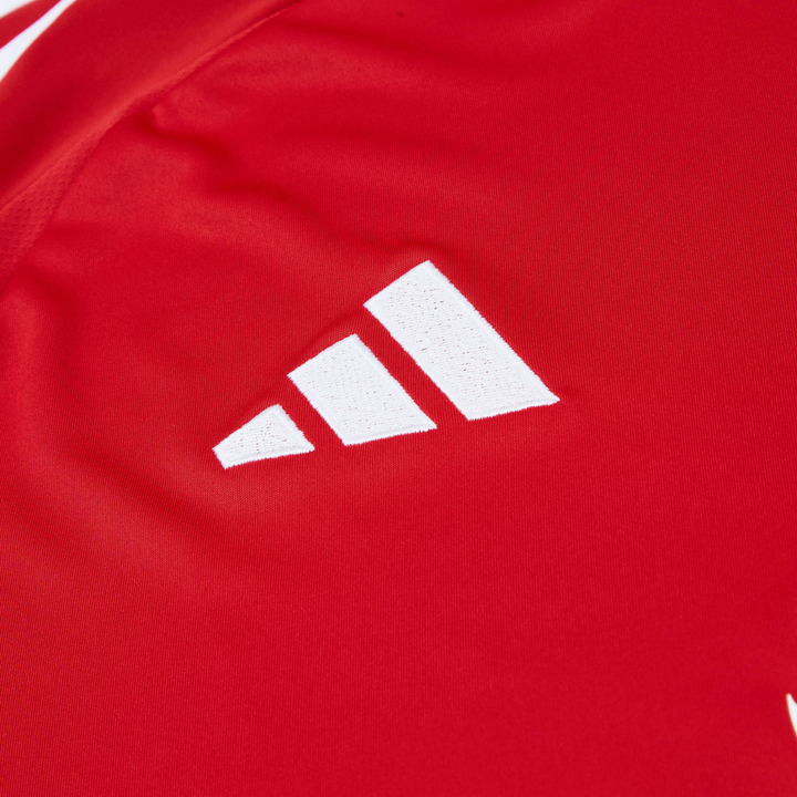 2024-25 Manchester United FC Domicile