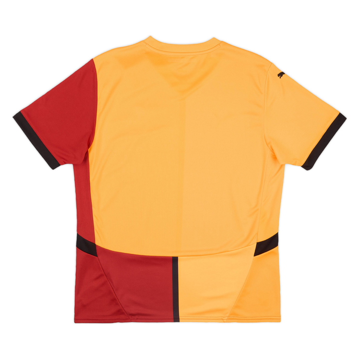 2024-25 Galatasaray SK Heim