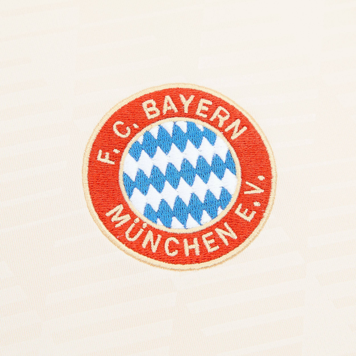2024-25 FC Bayern München Derde